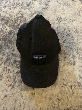 Patagonia Black Trucker Cap - Classic Logo